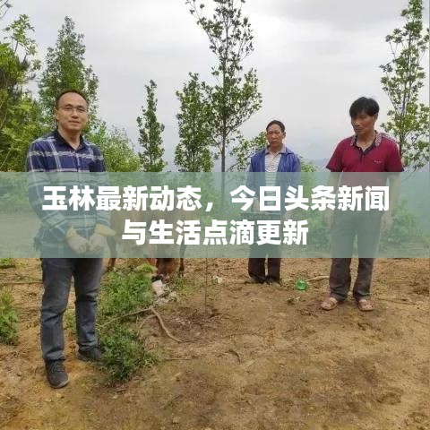 玉林最新动态，今日头条新闻与生活点滴更新