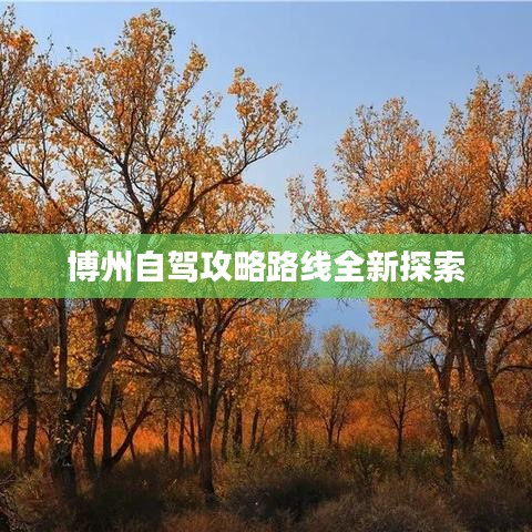 博州自驾攻略路线全新探索