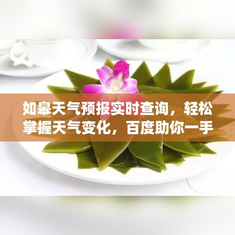 如皋天气预报实时查询，轻松掌握天气变化，百度助你一手掌握！