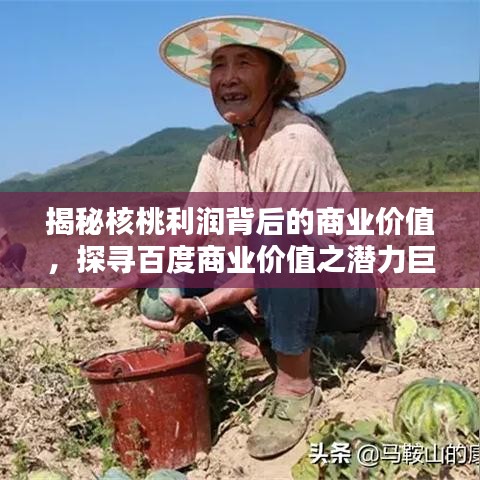 揭秘核桃利润背后的商业价值，探寻百度商业价值之潜力巨大！