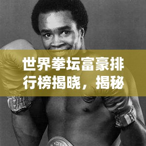世界拳坛富豪排行榜揭晓，揭秘拳坛财富巨头的神秘面纱