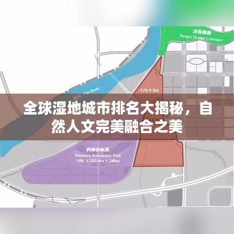 全球湿地城市排名大揭秘，自然人文完美融合之美