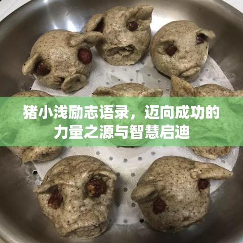 猪小浅励志语录，迈向成功的力量之源与智慧启迪