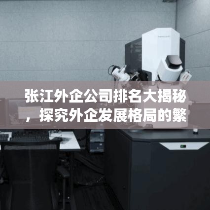 张江外企公司排名大揭秘，探究外企发展格局的繁荣盛景！