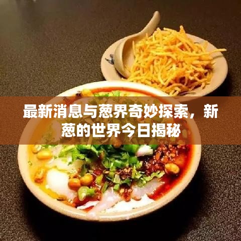最新消息与葱界奇妙探索，新葱的世界今日揭秘