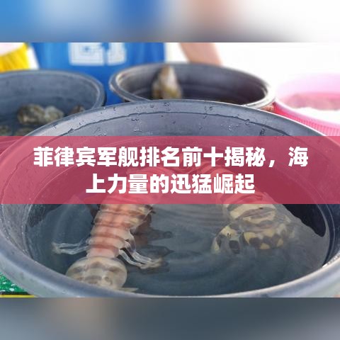 菲律宾军舰排名前十揭秘，海上力量的迅猛崛起