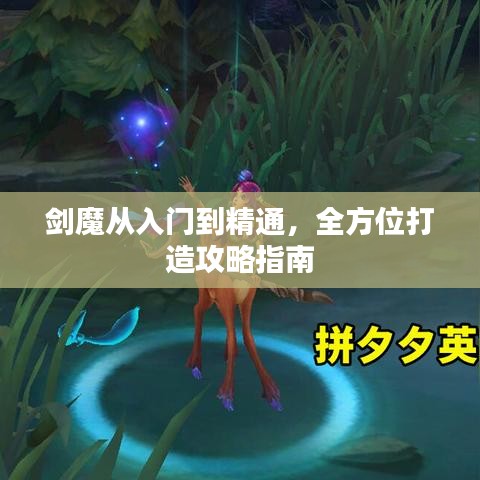 剑魔从入门到精通，全方位打造攻略指南