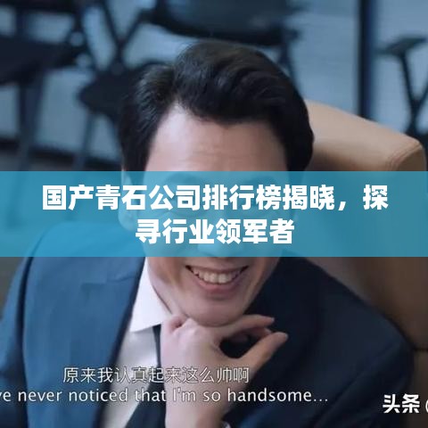 国产青石公司排行榜揭晓，探寻行业领军者