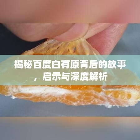 揭秘百度白有原背后的故事，启示与深度解析