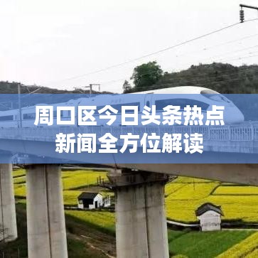 周口区今日头条热点新闻全方位解读