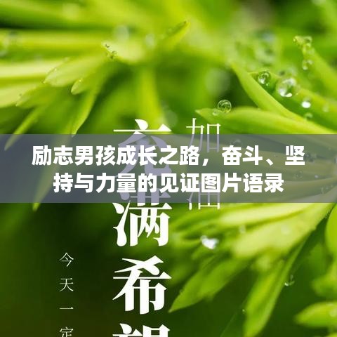励志男孩成长之路，奋斗、坚持与力量的见证图片语录