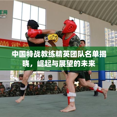 中国特战教练精英团队名单揭晓，崛起与展望的未来