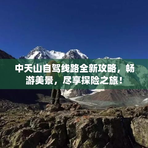 中天山自驾线路全新攻略，畅游美景，尽享探险之旅！