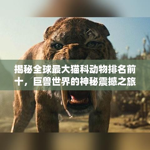 揭秘全球最大猫科动物排名前十，巨兽世界的神秘震撼之旅