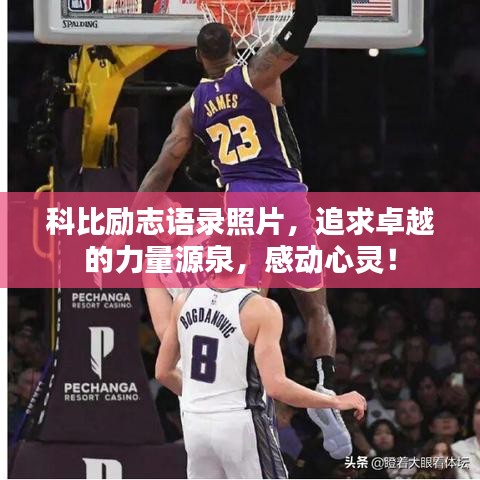 科比励志语录照片，追求卓越的力量源泉，感动心灵！