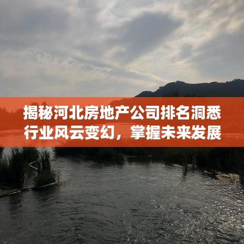 揭秘河北房地产公司排名洞悉行业风云变幻，掌握未来发展脉络！
