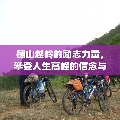 2025年5月30日 第3页