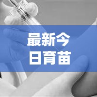 最新今日育苗价格一览表，全面查询，百度权威数据参考