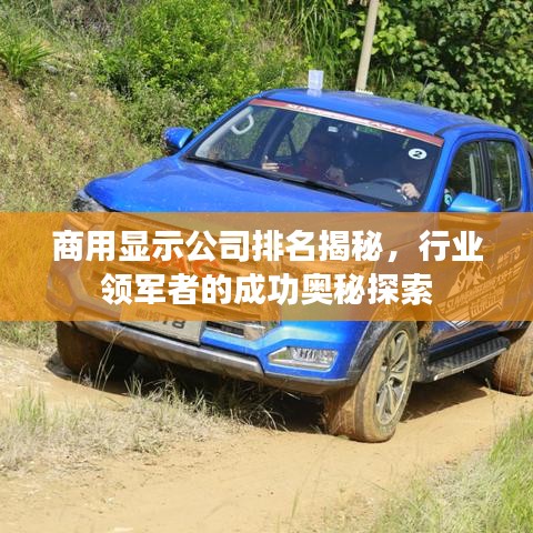 商用显示公司排名揭秘，行业领军者的成功奥秘探索