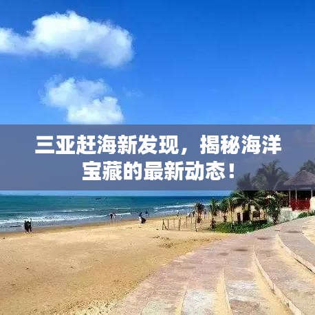 三亚赶海新发现，揭秘海洋宝藏的最新动态！