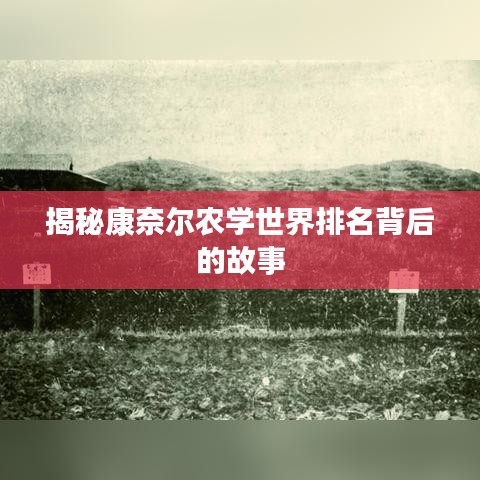 揭秘康奈尔农学世界排名背后的故事