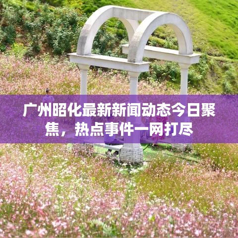 广州昭化最新新闻动态今日聚焦，热点事件一网打尽
