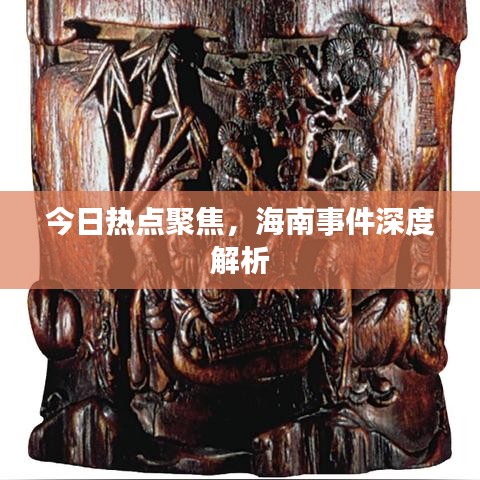 今日热点聚焦，海南事件深度解析