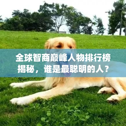 全球智商巅峰人物排行榜揭秘，谁是最聪明的人？