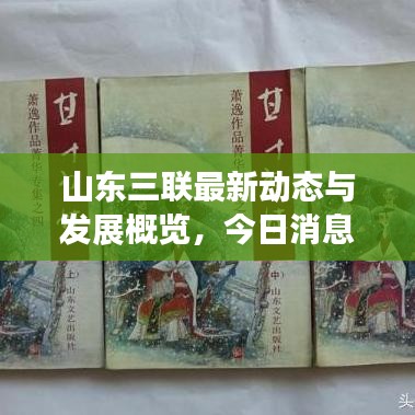 山东三联最新动态与发展概览，今日消息全解析