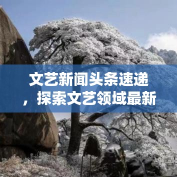 澹泊明志，宁静致远
