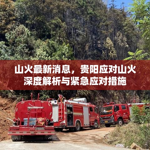 山火最新消息，贵阳应对山火深度解析与紧急应对措施