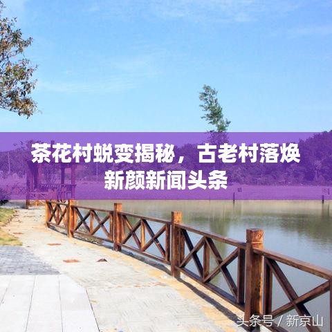 茶花村蜕变揭秘，古老村落焕新颜新闻头条