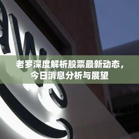老罗深度解析股票最新动态，今日消息分析与展望