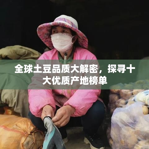 全球土豆品质大解密，探寻十大优质产地榜单