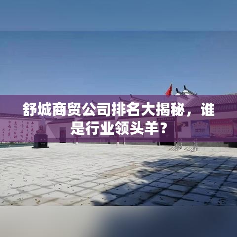 舒城商贸公司排名大揭秘，谁是行业领头羊？
