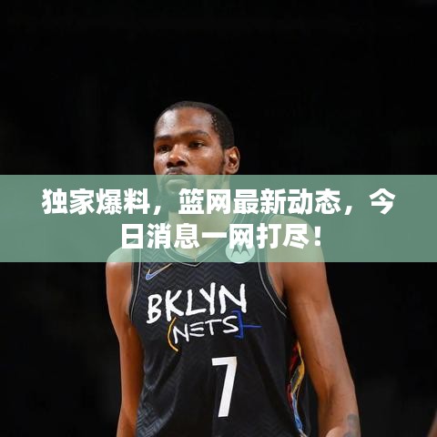 独家爆料，篮网最新动态，今日消息一网打尽！