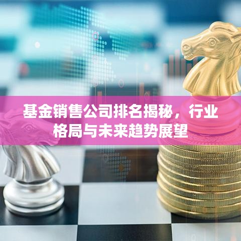 基金销售公司排名揭秘，行业格局与未来趋势展望