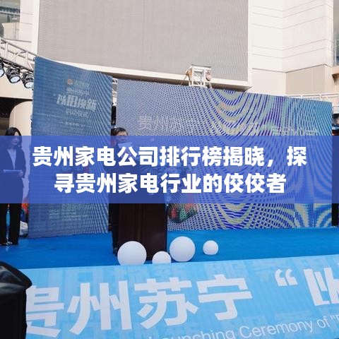 贵州家电公司排行榜揭晓，探寻贵州家电行业的佼佼者