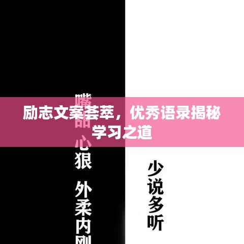 励志文案荟萃，优秀语录揭秘学习之道