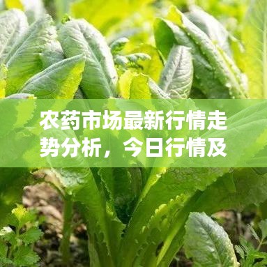 农药市场最新行情走势分析，今日行情及市场预测