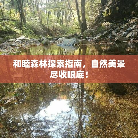 和睦森林探索指南，自然美景尽收眼底！
