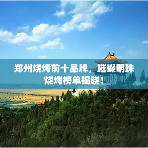 郑州烧烤前十品牌，璀璨明珠烧烤榜单揭晓！