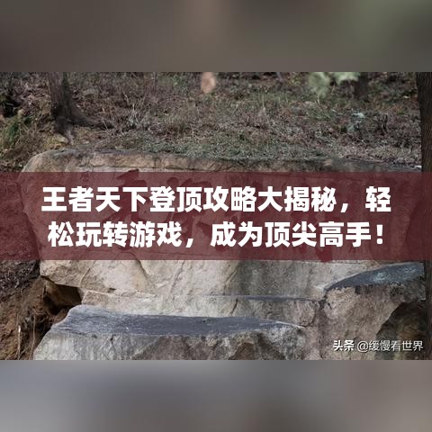王者天下登顶攻略大揭秘，轻松玩转游戏，成为顶尖高手！