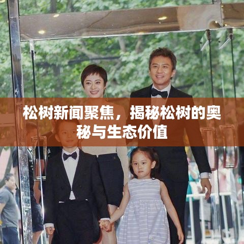 松树新闻聚焦，揭秘松树的奥秘与生态价值