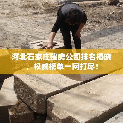 河北石家庄建房公司排名揭晓，权威榜单一网打尽！