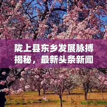 陇上县东乡发展脉搏揭秘，最新头条新闻速递