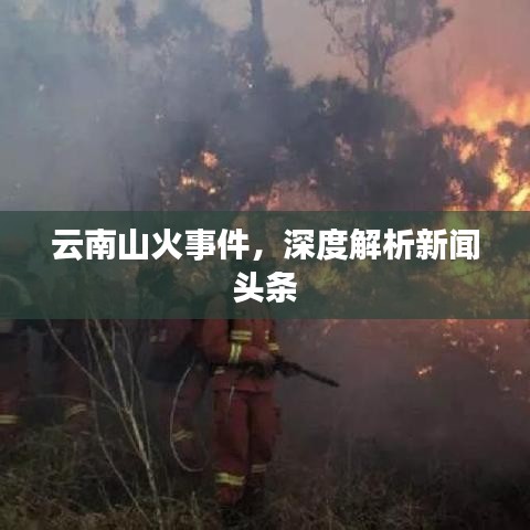 云南山火事件，深度解析新闻头条