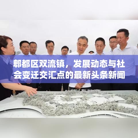 郫都区双流镇，发展动态与社会变迁交汇点的最新头条新闻