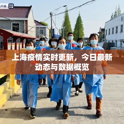 上海疫情实时更新，今日最新动态与数据概览