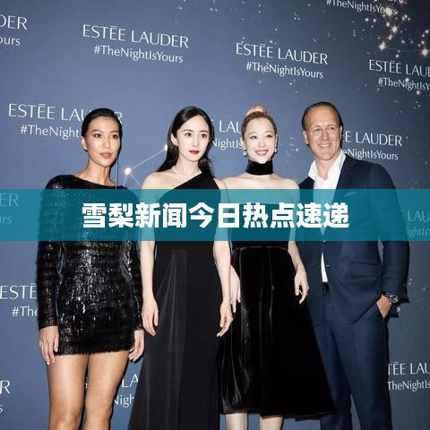 管窥蛙见